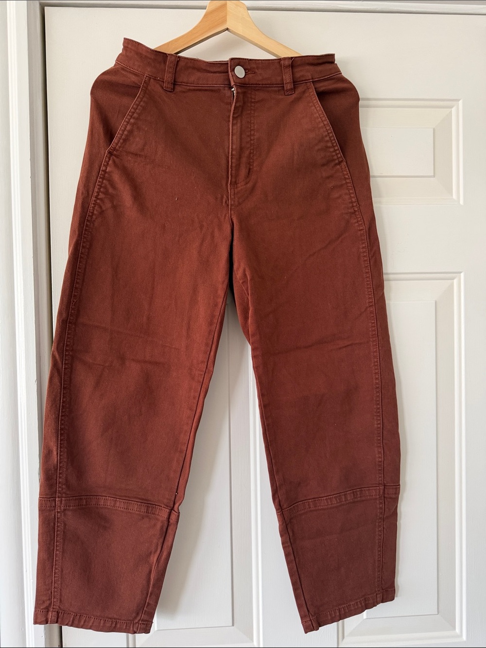 Everlane Men's Rust Brown Chino Pants